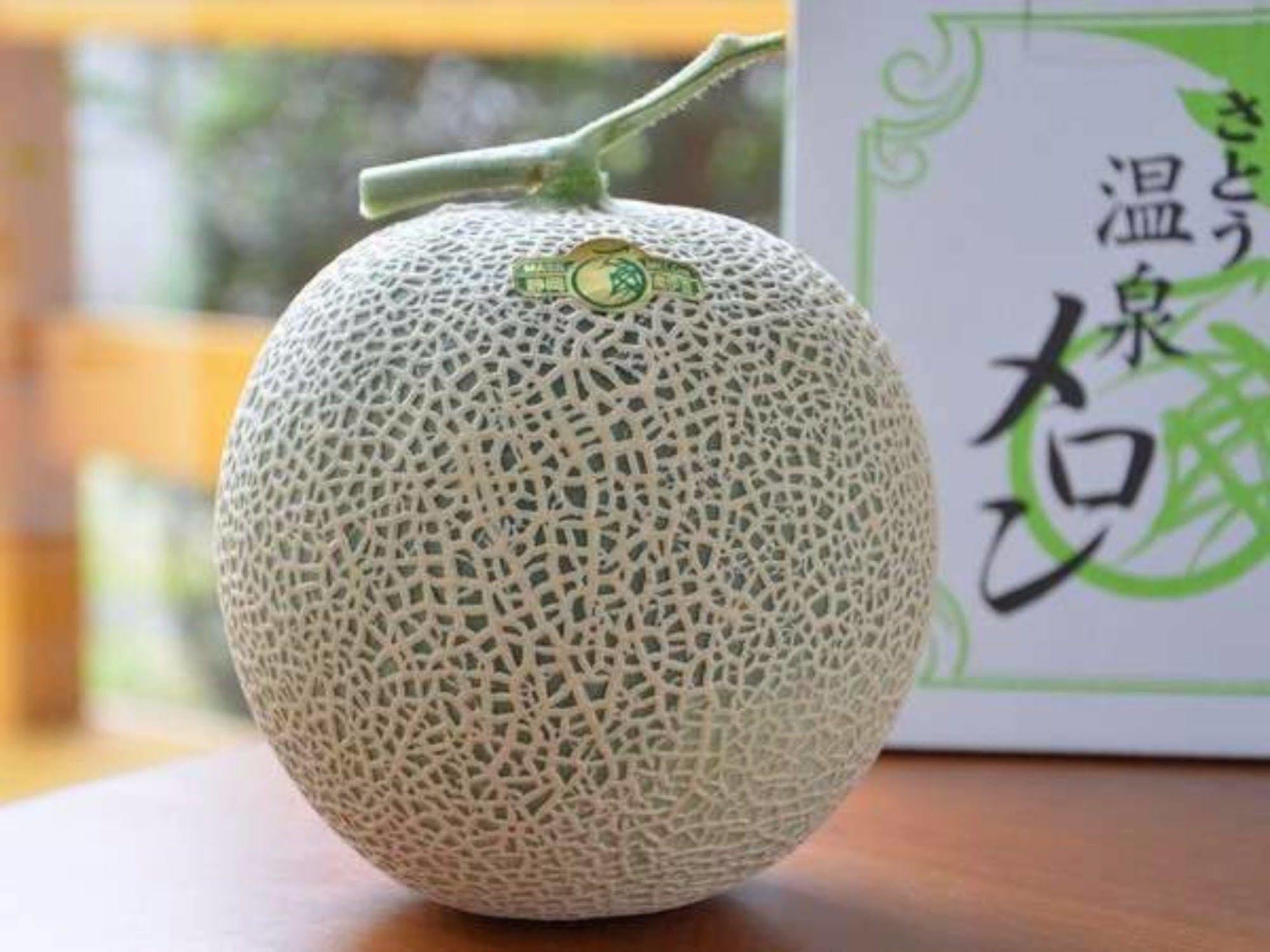 Hotel Kawachiya 미나미이즈 외부 사진